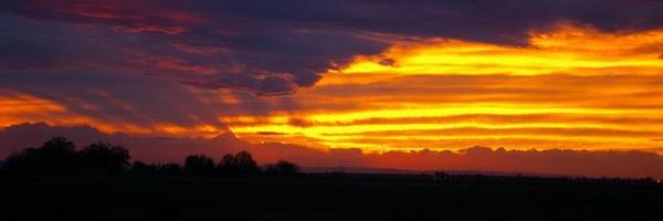 Rubie Godby Gallegos banner