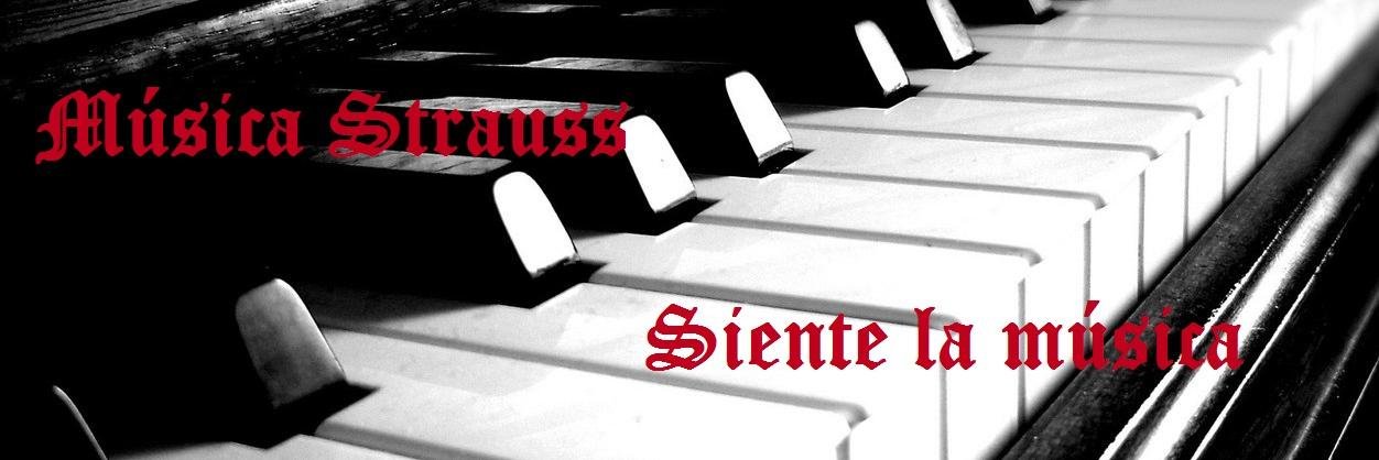 MusicaStrauss's profile banner image