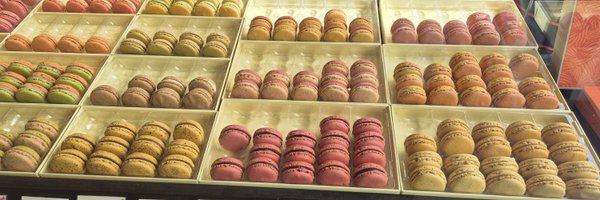 amberstrology Profile Banner