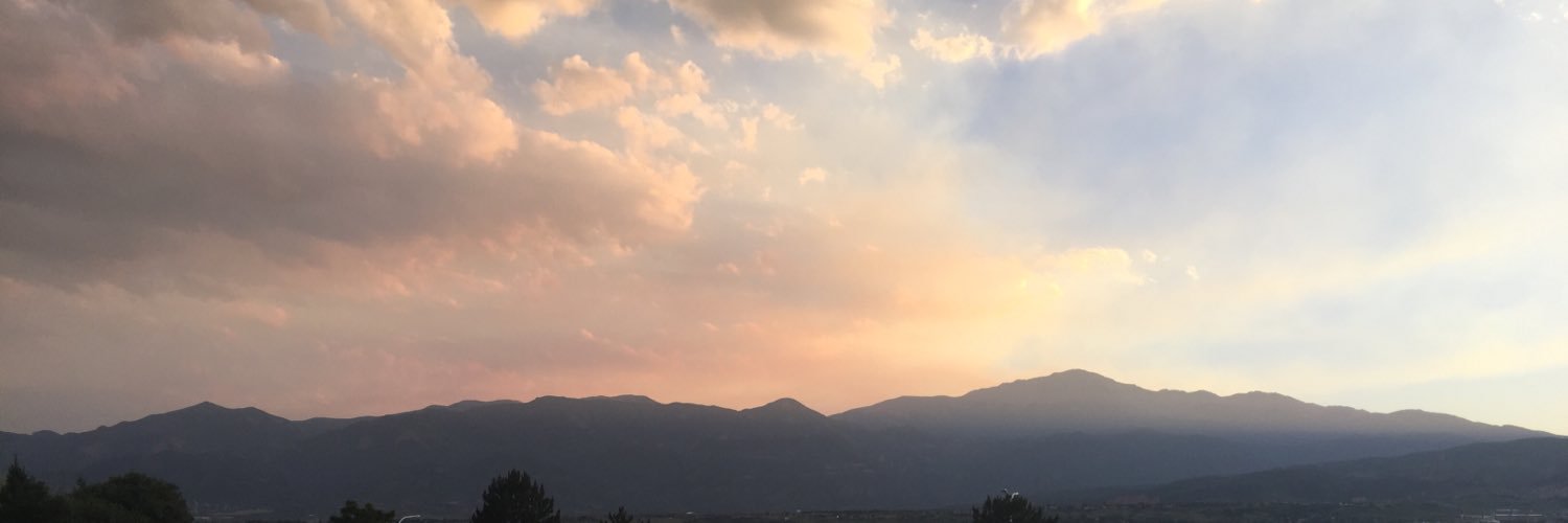 AllyPerzichilli's profile banner image