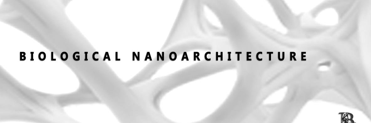 BNArch's profile banner image