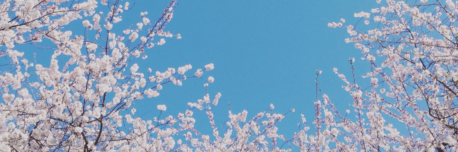 szeanng's profile banner image