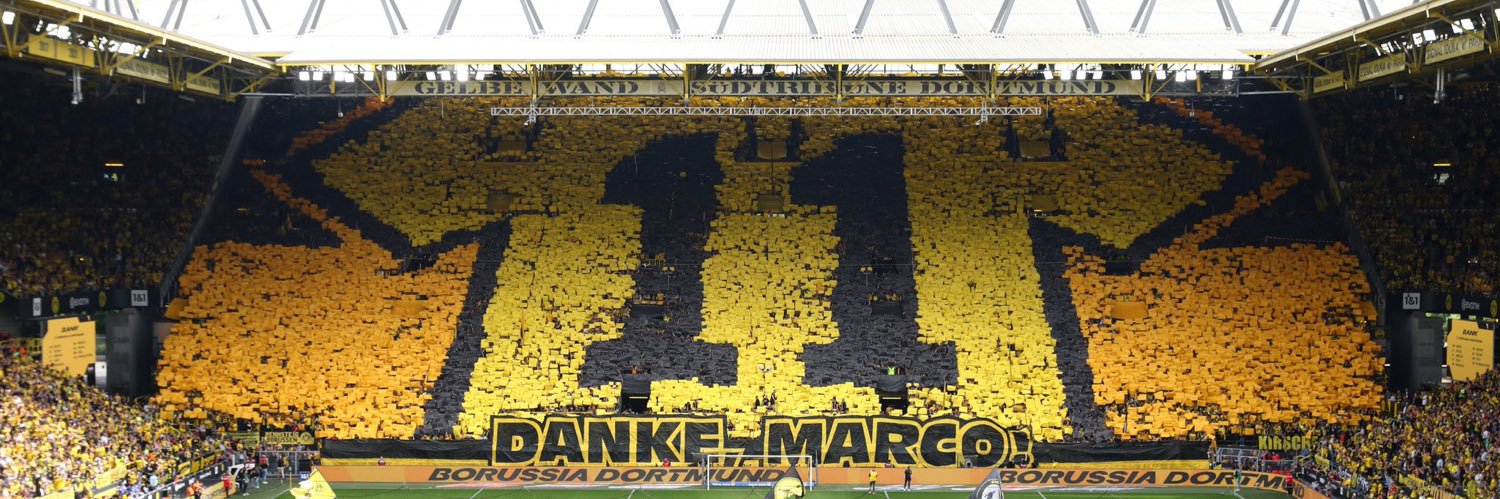 F R A N Z I banner