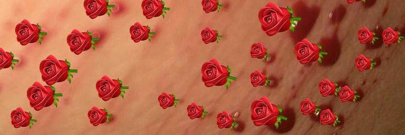 allebasiva's profile banner image