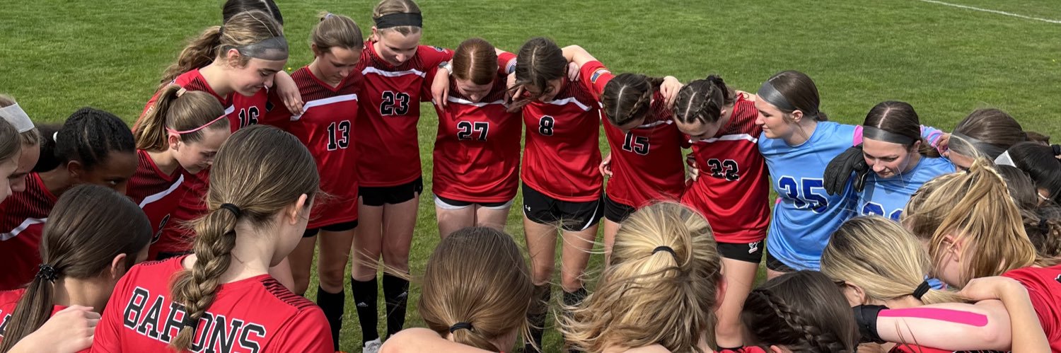 DMSLadySoccer's profile banner image