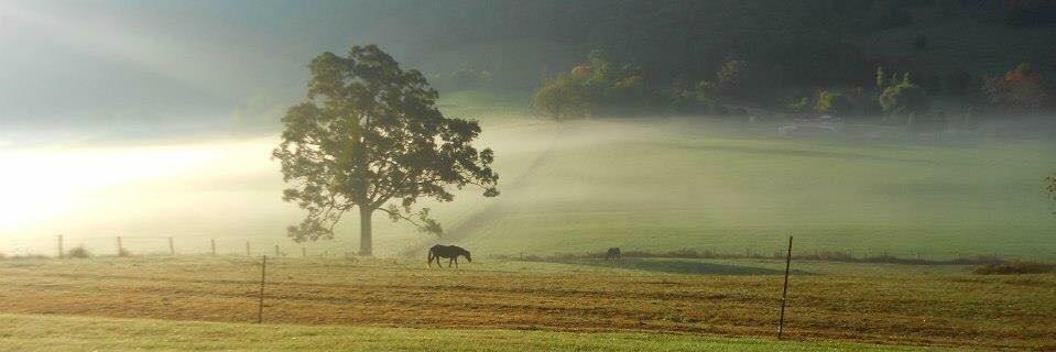 VisitTazewell's profile banner image