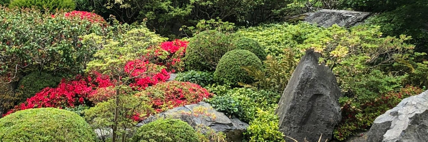 JanisSusskind's profile banner image