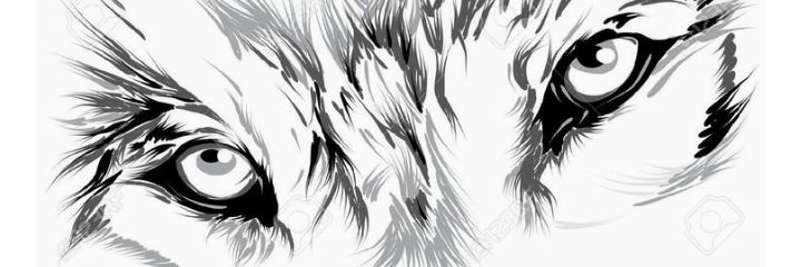 IlievBe's profile banner image