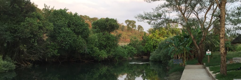 JJKellermann's profile banner image