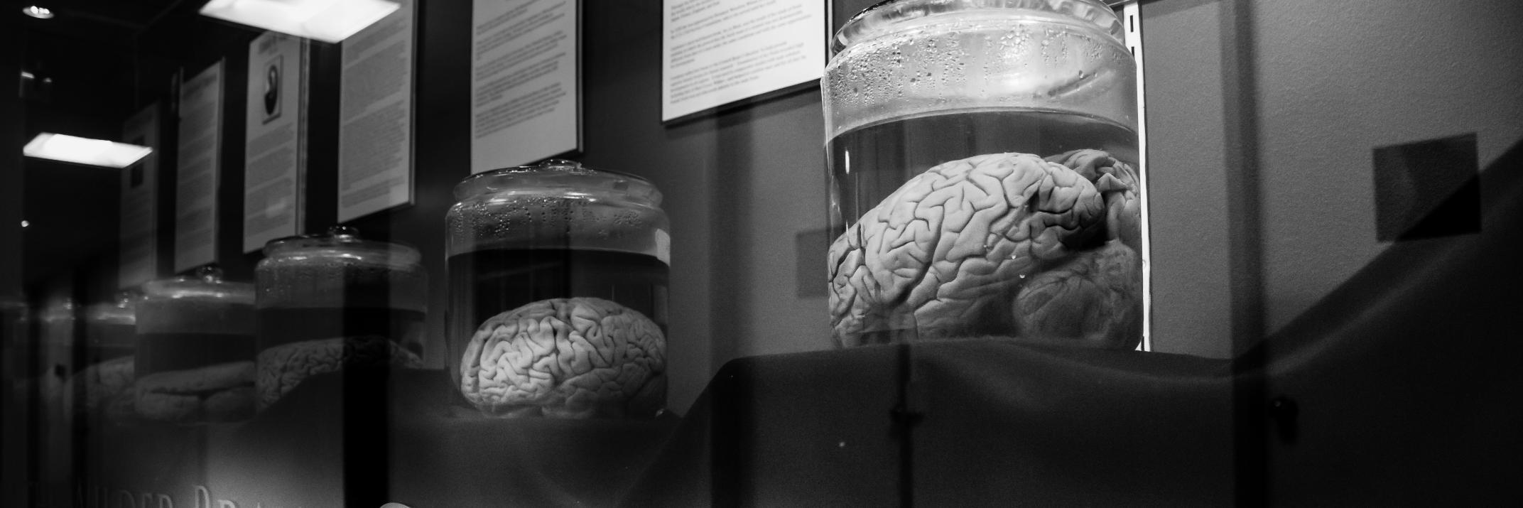 Michael Gaultois banner