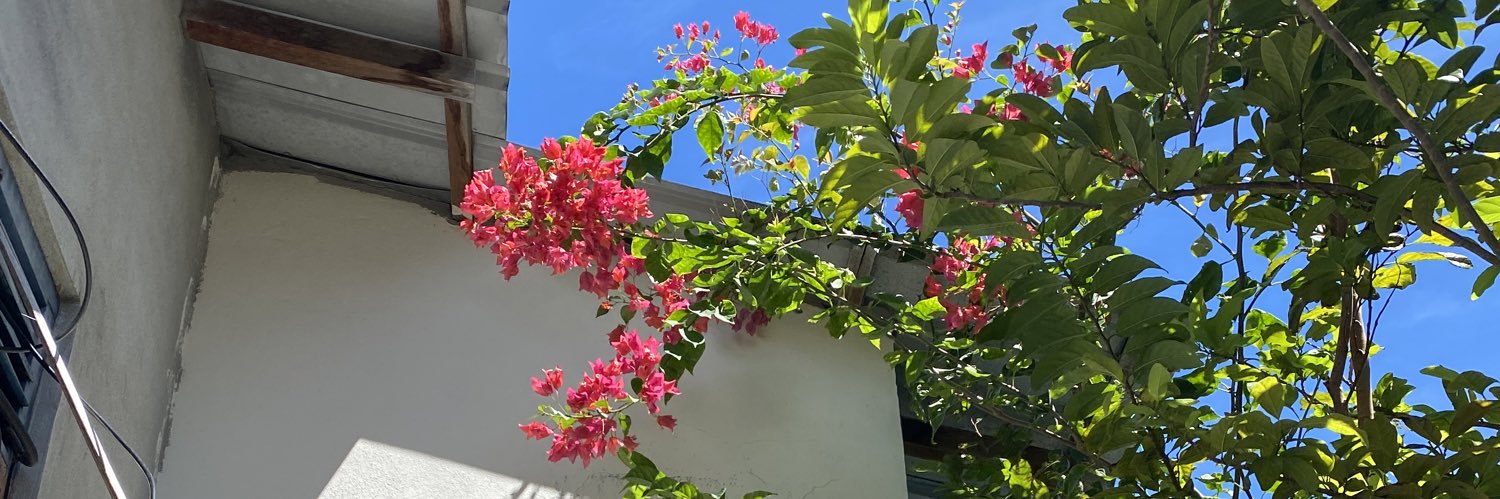 ifaa771's profile banner image