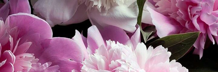 nay ♥̸̨ὺ.ύ♥ banner