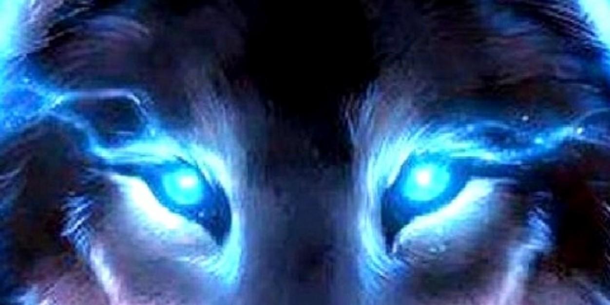 sweetylamb's profile banner image