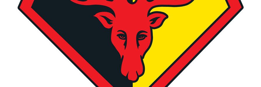 Stephen Ferguson 🐀 banner
