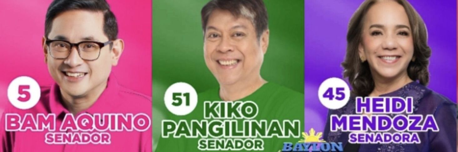DigPea12's profile banner image