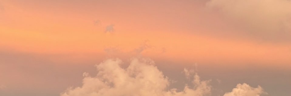 miinttnim's profile banner image