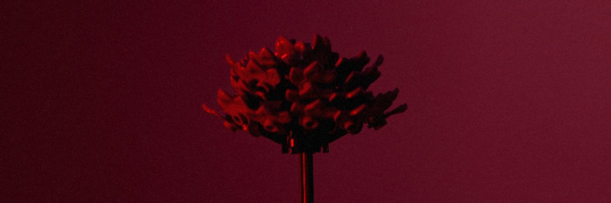 Margherita Fortuna banner