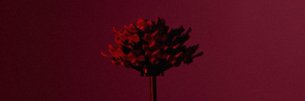 mfortunae Profile Banner