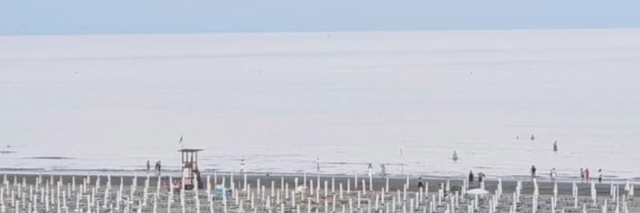 LitwinValentina's profile banner image
