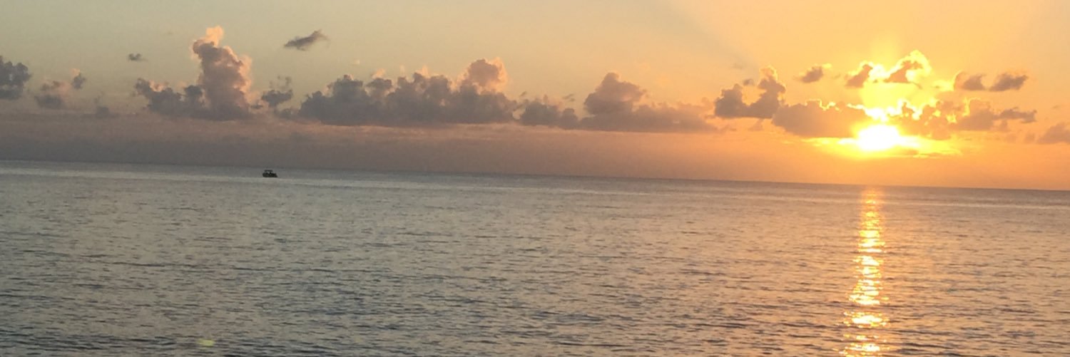 donnerina's profile banner image