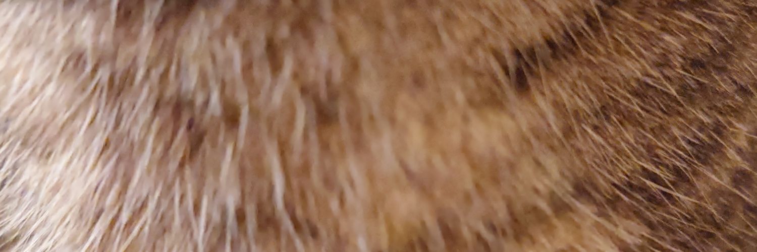 ice_n_original's profile banner image