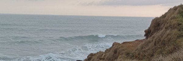 aldeath_ Profile Banner