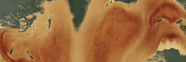 AmaryllisTH's profile banner image