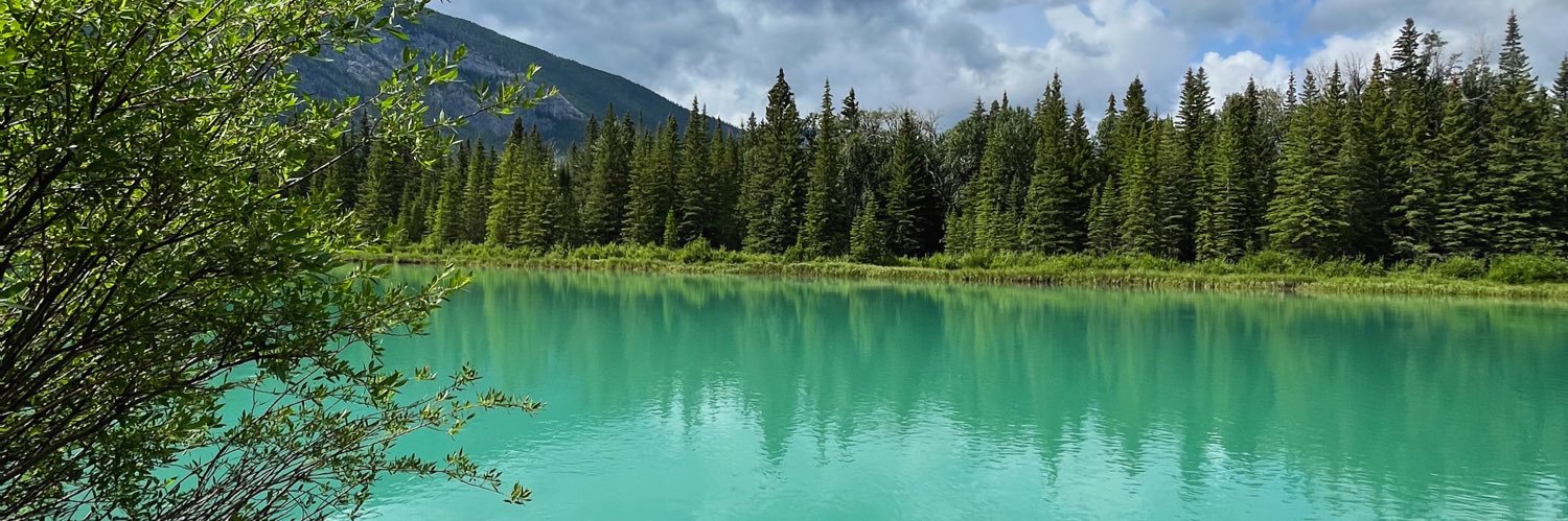 hanforrest's profile banner image