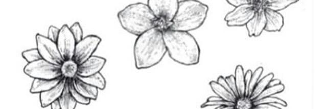 allisonclarkk_'s profile banner image