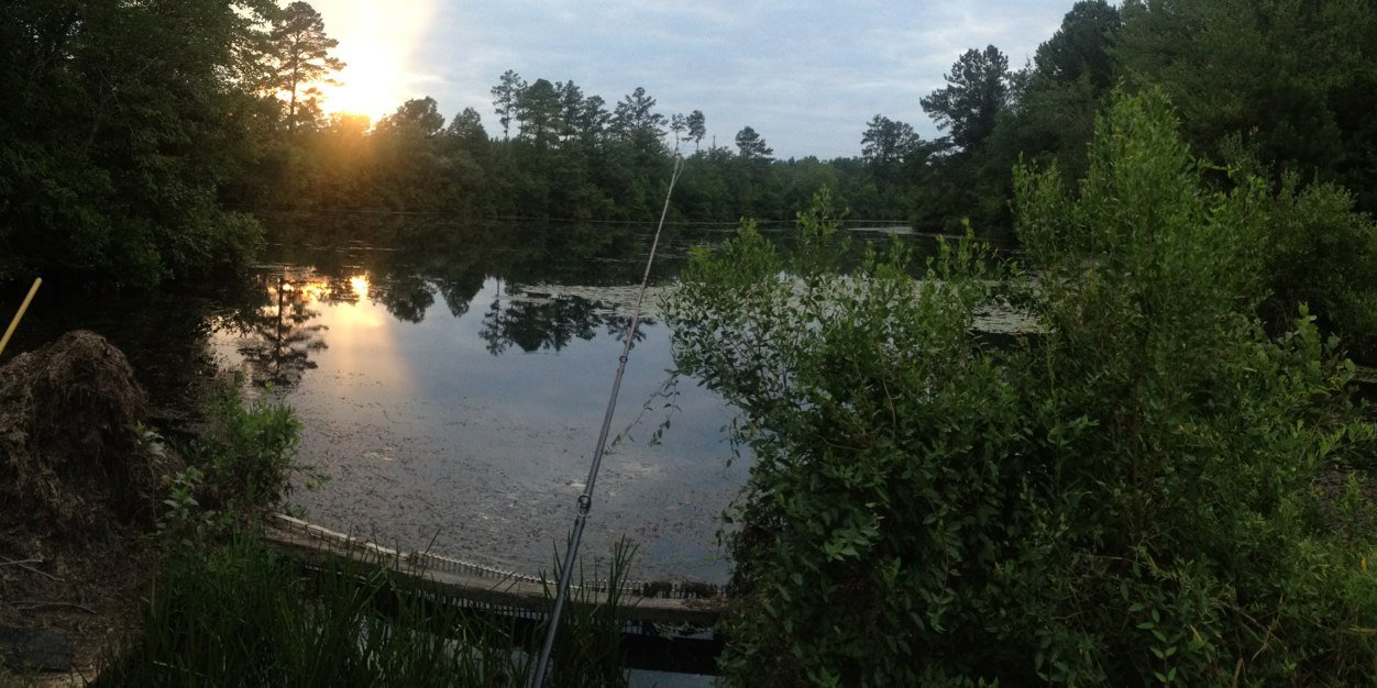 michael coward banner