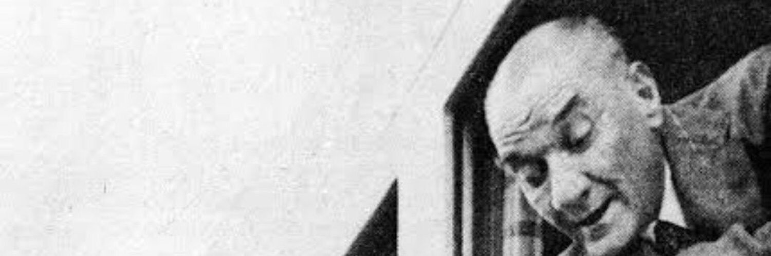 TemizTürk⚖️🖊🇹🇷 banner