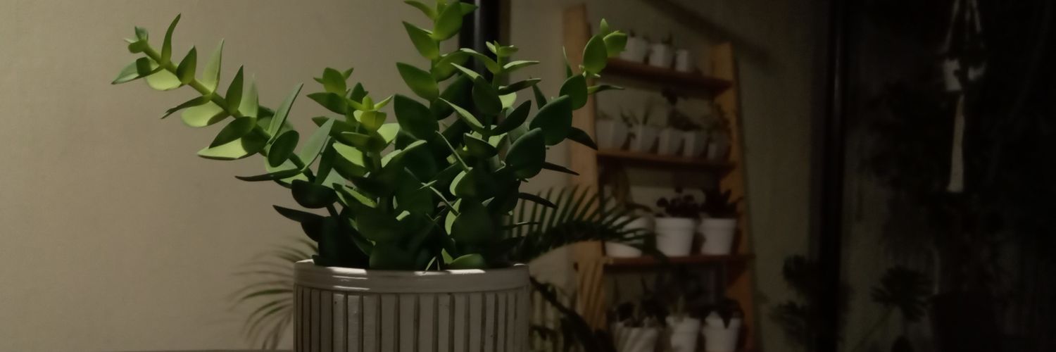 MarkChua1st's profile banner image
