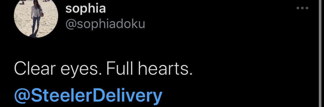 Steeler DELIVERY 📦 banner