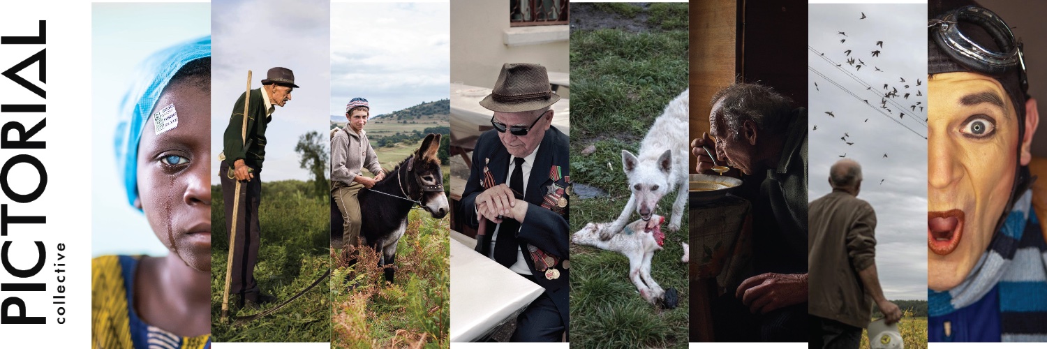 Pictorial Collective banner