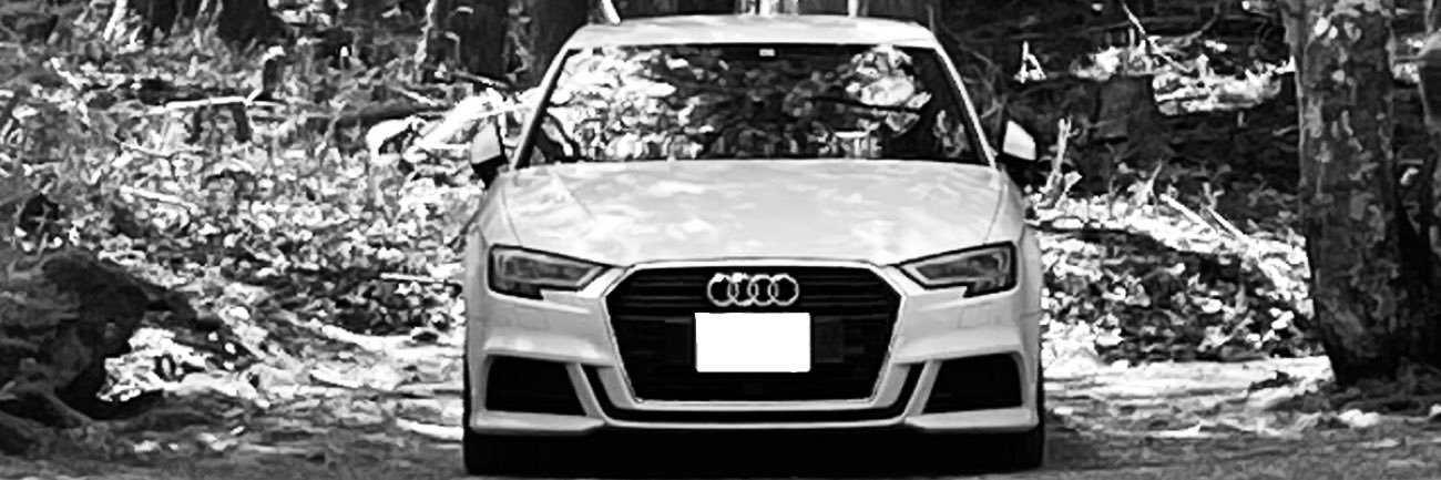mkt. banner