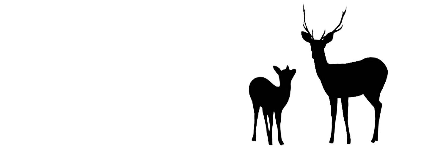 bf01xxx's profile banner image