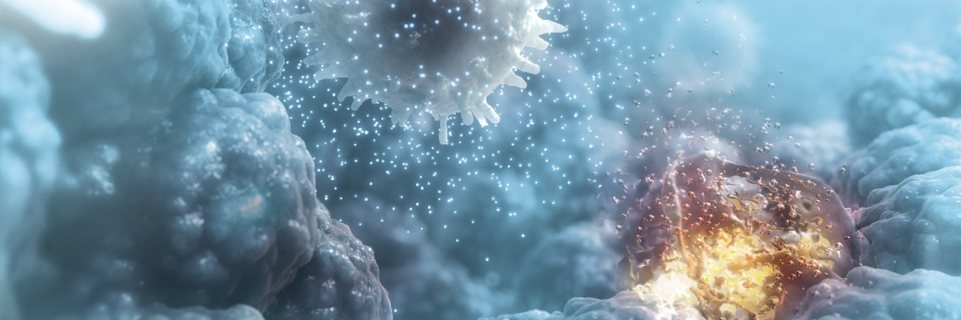 CellMedica's profile banner image