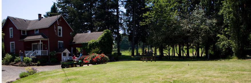 Helvwine's profile banner image