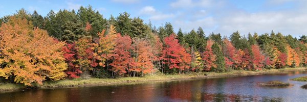 BernJordanCG Profile Banner