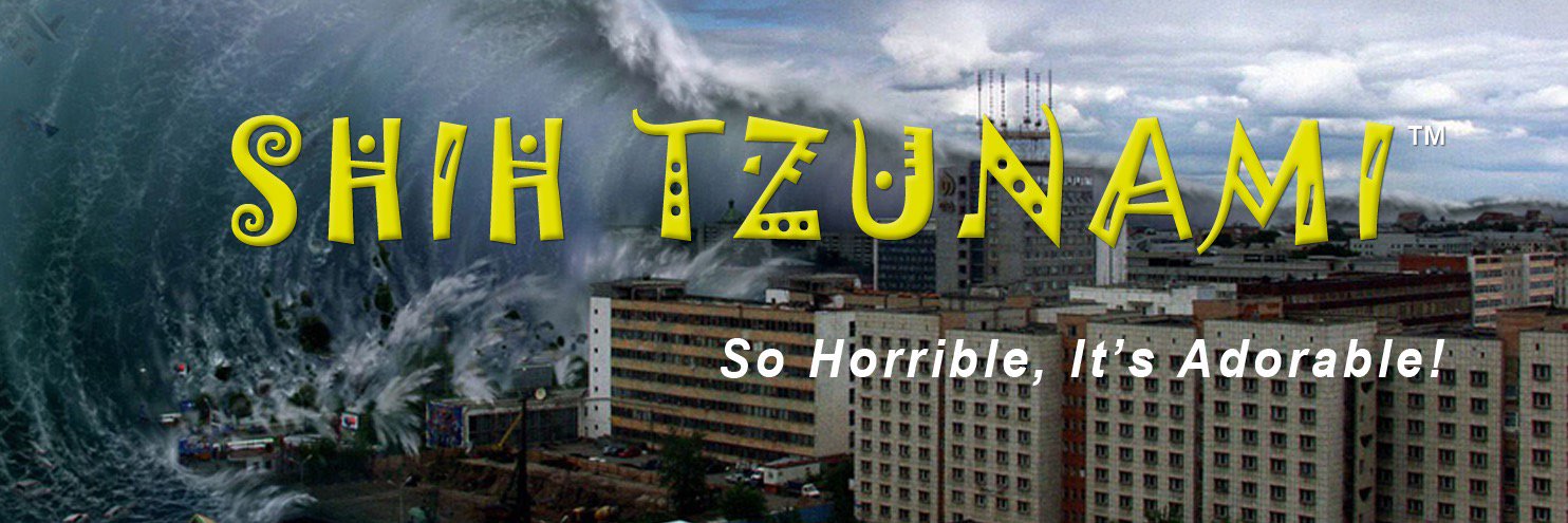 Shih Tzunami Movie (@shih_tzunami) / Posts / X