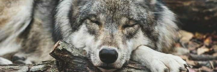 Mwai_patrix's profile banner image