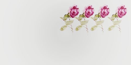 AspenHopeWV's profile banner image