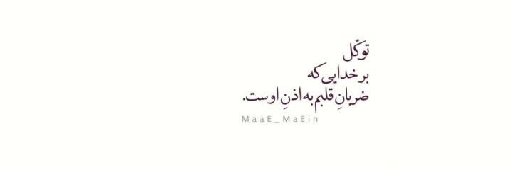 محسن طالبی banner