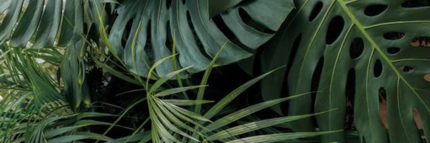 melkoz_'s profile banner image