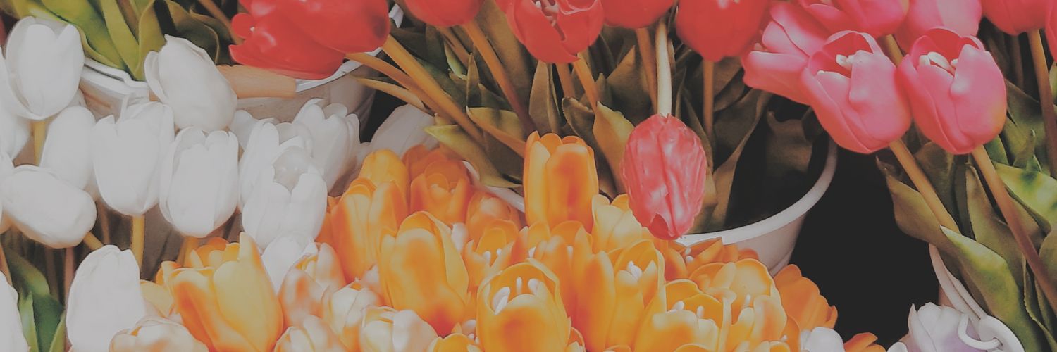 elisxcx's profile banner image