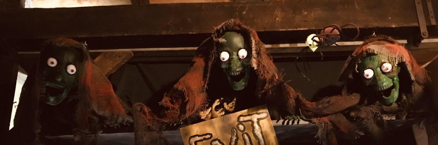 WitchesOfBedlam's profile banner image