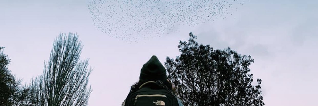 rumkagill's profile banner image