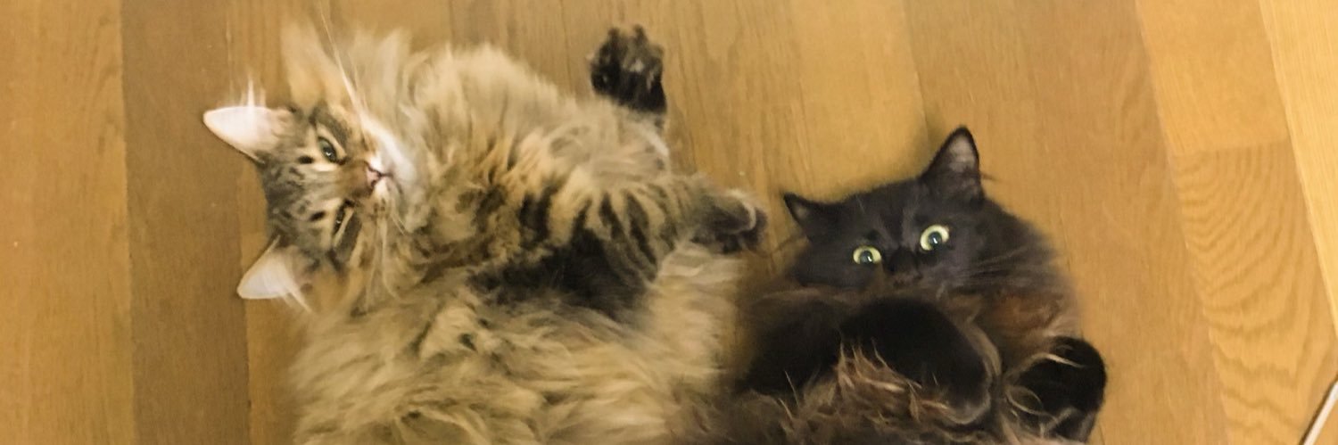 mickcat5's profile banner image