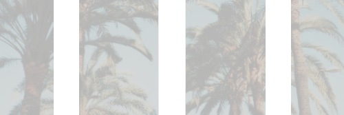 salparss's profile banner image