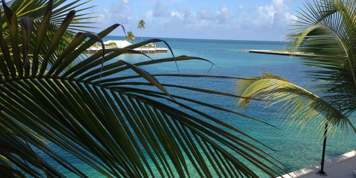 Sherise Ciccolella banner